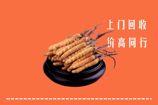 高价求购：宁德市柘荣县回收散虫草